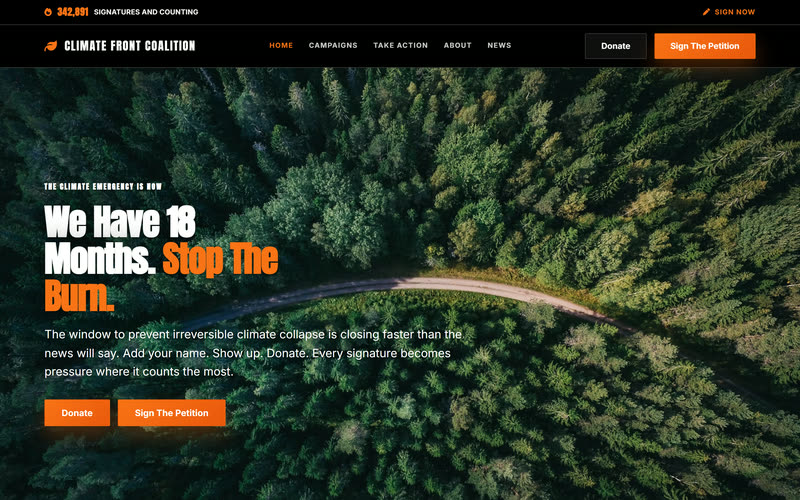 Campaign website design example, desktop view